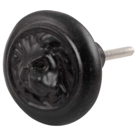 Black Lion Metal Knobs